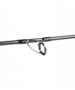 Gamakatsu Altemiss Heavy Cast 2.70m 20-65g Spinnrute Sale
