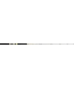 HEARTY RISE Cat Fish vertical extreme 180H2 1,80m 100-250g Wels Waller Bootsrute