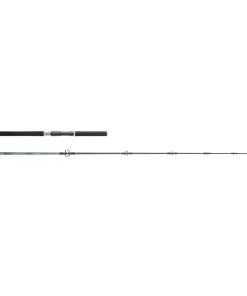 HEARTY RISE Monster Game Tuna 2,30m 50-100g Salzwasser-Meeresrute Spinnrute