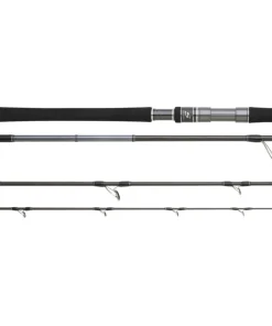 HEARTY RISE SKYWALKER POPPING 2,55m 100-200g