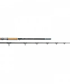 Leitner Wallerrute  EBRO 100-450g, 305 cm