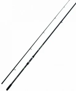 Lineaeffe Master Carp 12ft / 3,60m / 2,75lbs Karpfenrute 2-teilige Karpfenangel