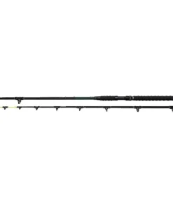 Madcat Black Cat-Stick 3,00m 10" / 150-300g / 2-teilig Wallerrute Welsrute