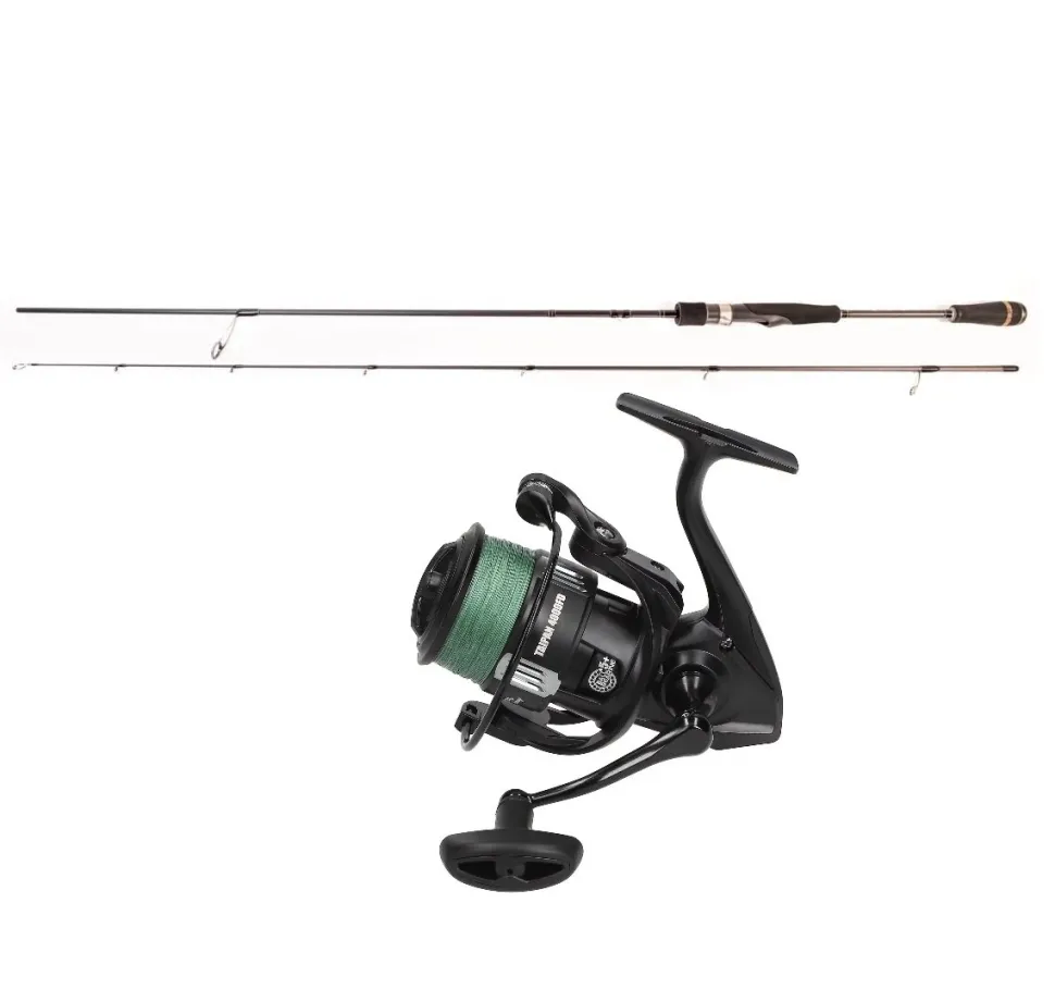 Mostal Taipan Spinncombo 2,70m / bis 50g + 4000FD + Geflochtene Schnur Hecht