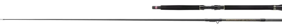 Norwegencombo PENN Regiment III Inner Boat 2,13m / 20-30lbs + Daiwa Sealine 30LWLA Multirolle LH
