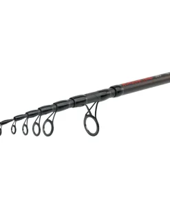Paladin Monster Tele 3,00m 30-100g Teleskoprute Grundrute