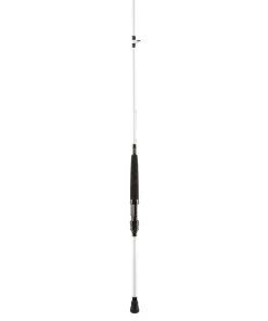 Penn BATTALION BOAT 8FT6IN 12LB Meeresrute