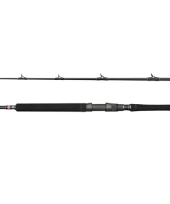 PENN CARNAGE VIKING EDITION Boat 2.13m F 50LB 2Sec Conv