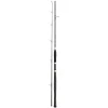Penn Legion Cat Silver Spin 270 2,70m 40-160g Welsrute Spinnrute