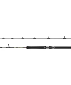 Penn Regiment IV Boat 2,10m 20-30lb 2-teilig Bootsrute Meeresrute