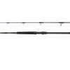 Penn Regiment IV Uptide 3,04m F 70-300g Meeresrute