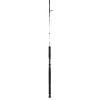 Penn SQUADRON II TROLLING CF 242 50-160G