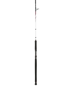 Penn SQUADRON II TROLLING CF 242 50-160G