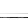 Penn Squadron IV Inner Boat 2,10m / 30-50lb Bootsrute Inliner Meeresrute