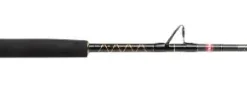 PENN Squall II 30-80LB 5ft6