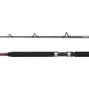 Penn Warfare II Boat 6ft 1,83m / 30lbs Bootsrute 2-teilig Meeresrute