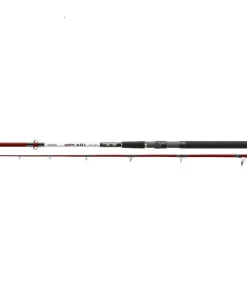 Pilkcombo Cormoran Seacor BAT 2.70m / 100-200g + Seafisher 5000 Salzwasser Spinrolle
