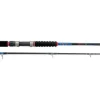 Rhino DF Big Fish 3,00m / bis 300g Großfischrute Welsrute Dorsch