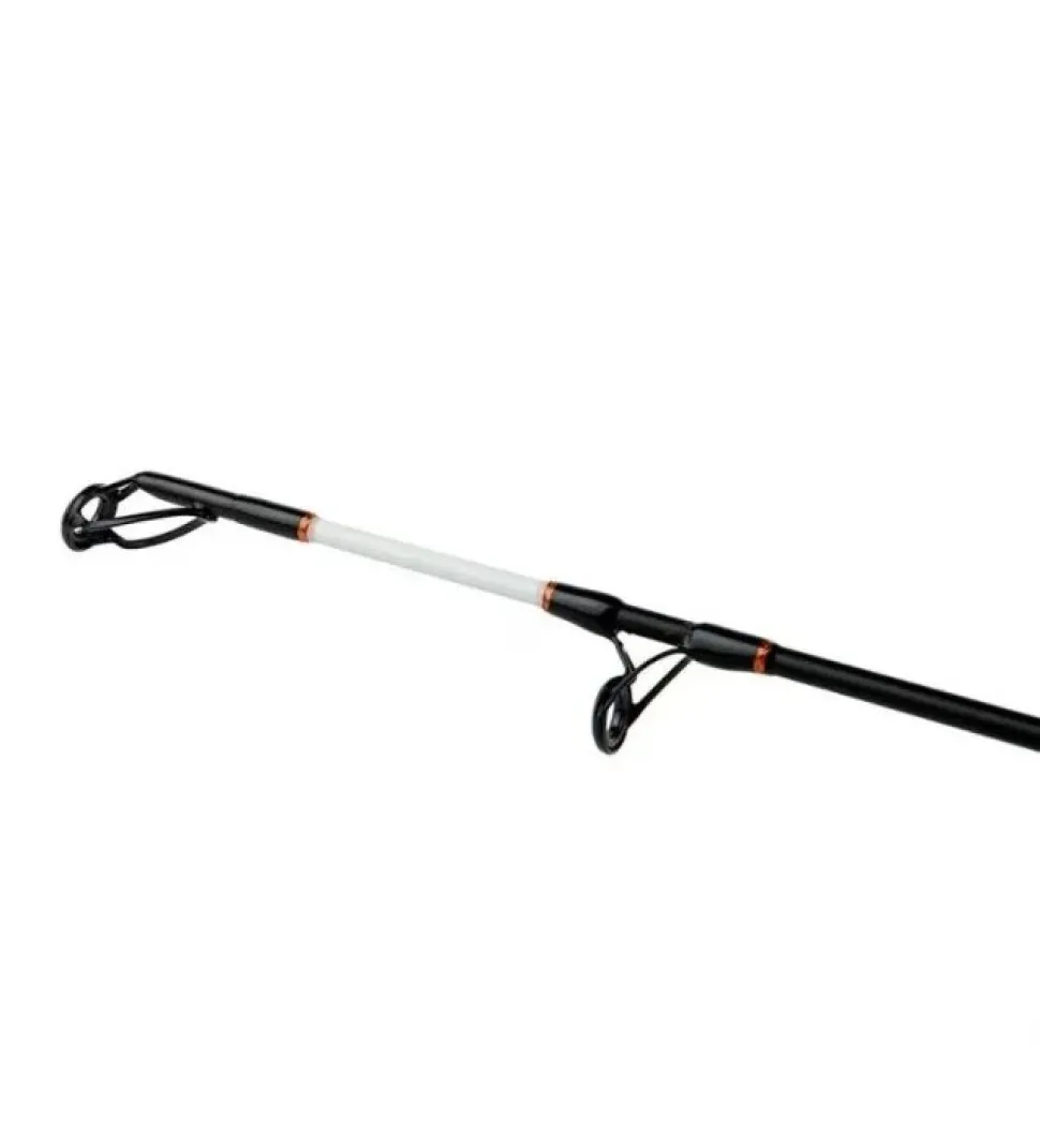 Shimano Beastmaster Catfish Static 3,00m 400g Wallerrute Welsrute
