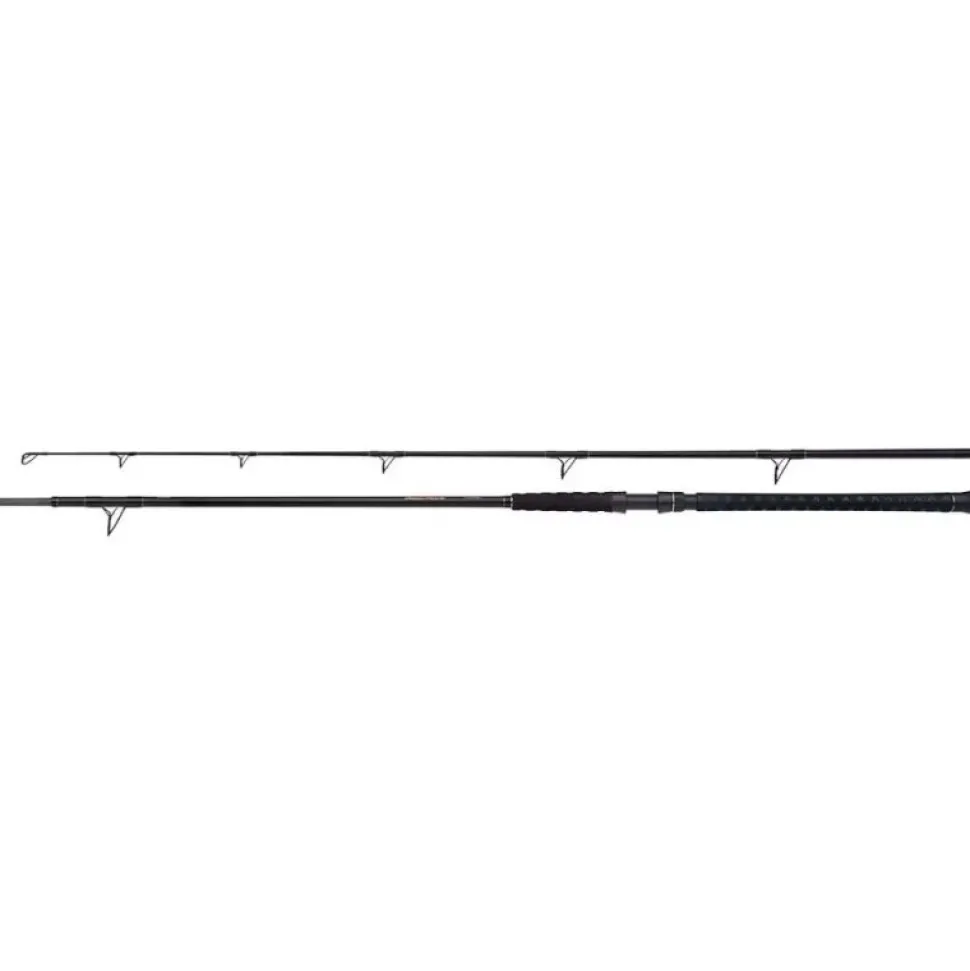 Shimano Beastmaster Catfish Static 3,00m 400g Wallerrute Welsrute