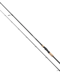 Shimano Beastmaster Fx Predator 240MH 2,40m 14-40g Spinnrute