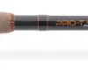 Sänger Pro-T Gold Tele 120 Big Fish 2,70m 50-120g