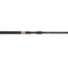 Sänger Spirit CSX Tele 80 Allround 3,60m 40-80g