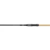 Sportex Morion Stalker Breakout 10" 3,50lb Karpfenrute Karpfenangeln