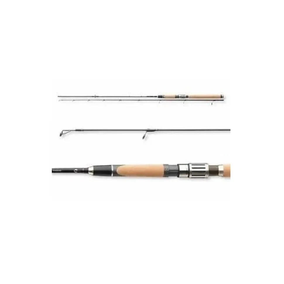 Team Cormoran X-POWER Spinnrute 2,40m 5-40g handmade