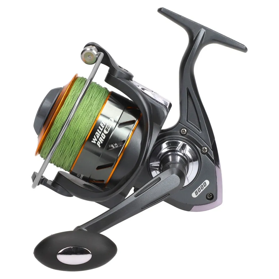 Wallercombo Spezial Cormoran Big Cat Long Range 3.00m / 200-600g + EFT Waller Pro 8000 CO