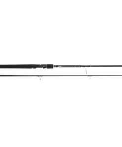 Westin W2 DEADBAIT BIG WATER ST 12'/360CM 250G 2SEC/SEMITELE 3.75LBS
