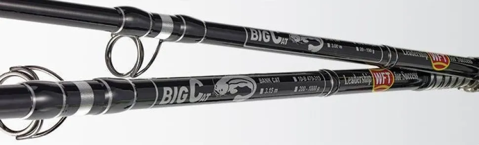 WFT Big Cat Bank Cat 3pc. 4,10m 200-1000g