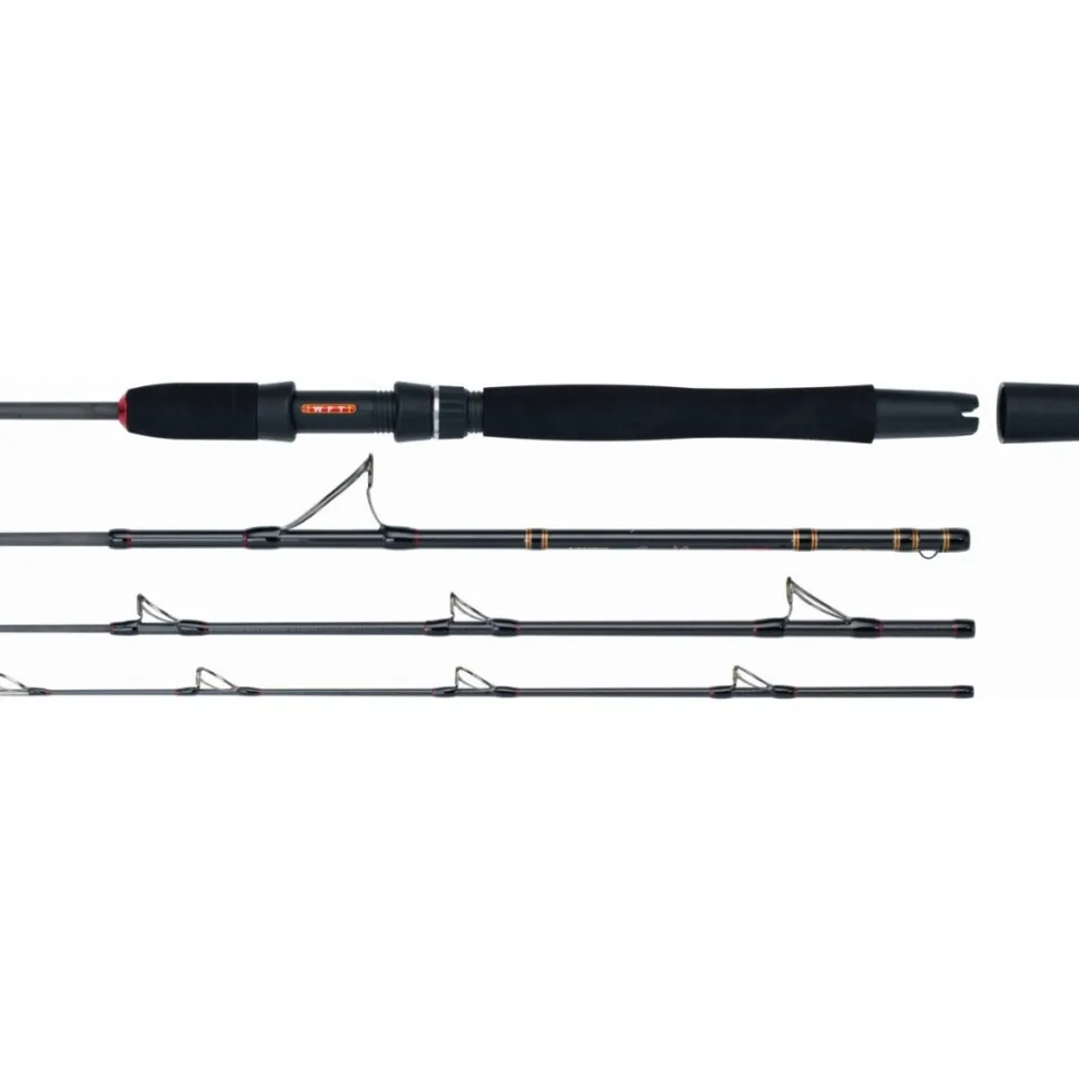 WFT Go North II 2,10m / 50lbs 4pcs. 400-1000g Norwegen Reiserute Meeresrute